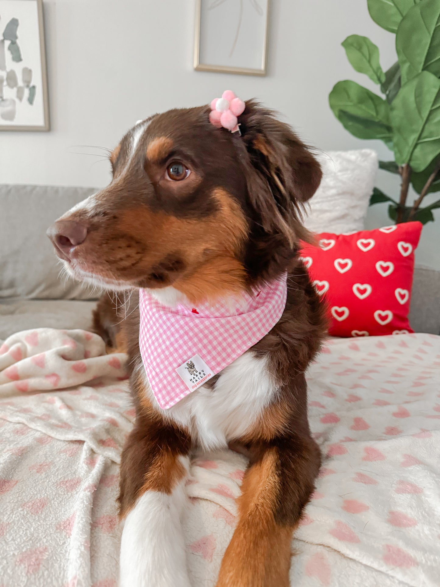 Pink Gingham with Red Embroidered Hearts Bandana