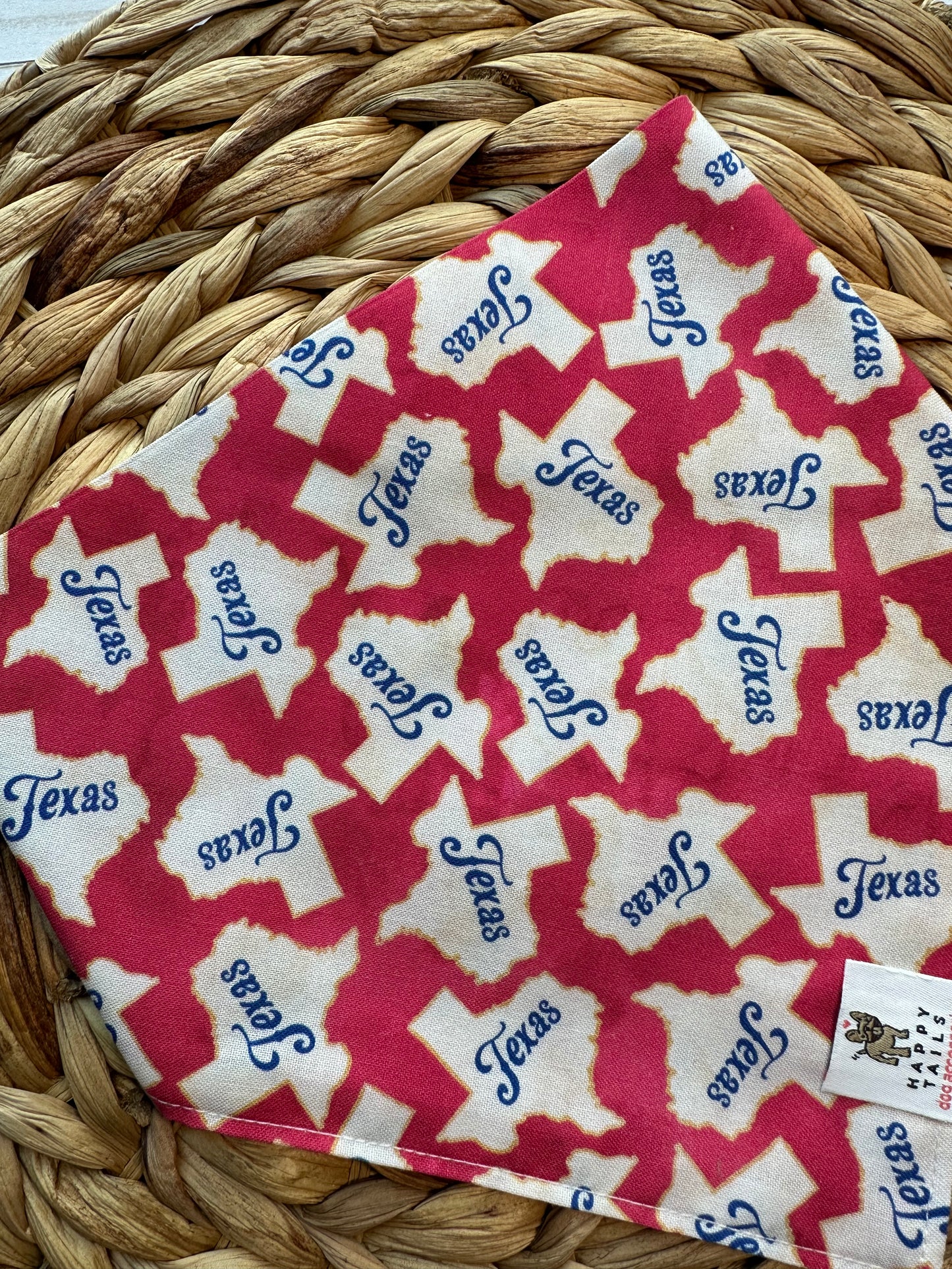 Texas Bandana