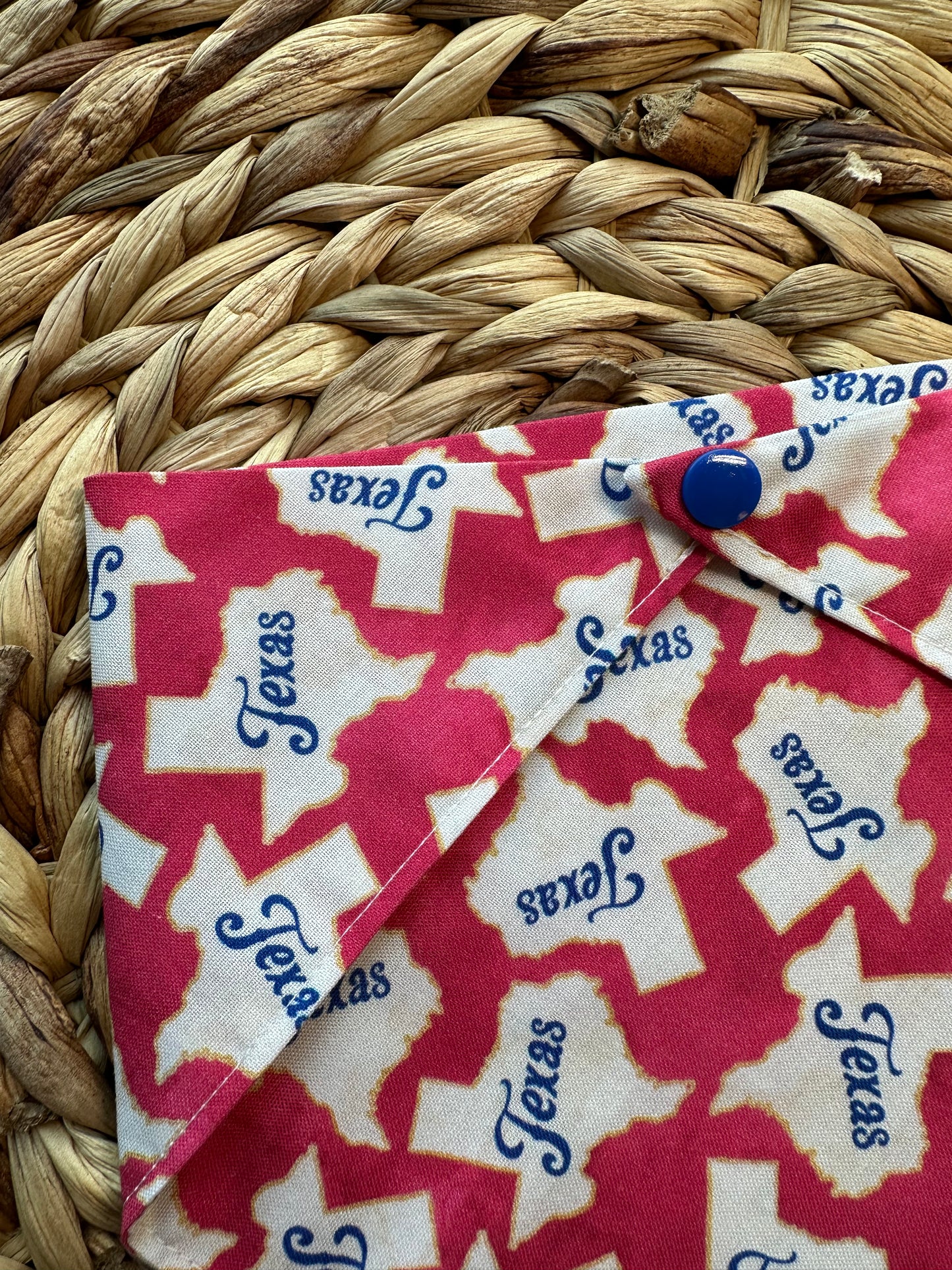 Texas Bandana