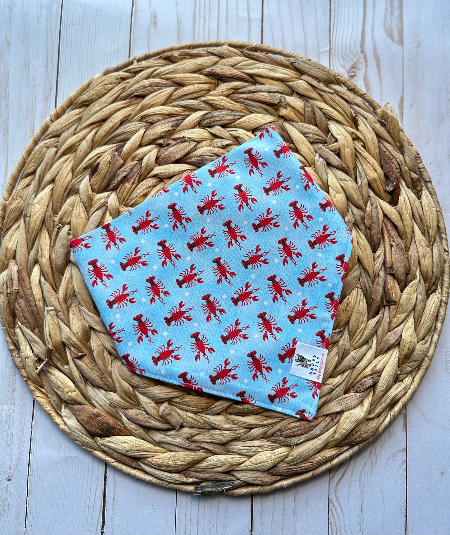 Catch of the Day Bandana