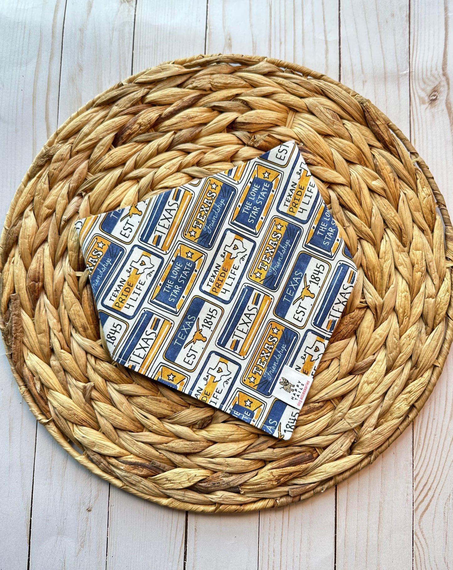 Texas Pride Bandana
