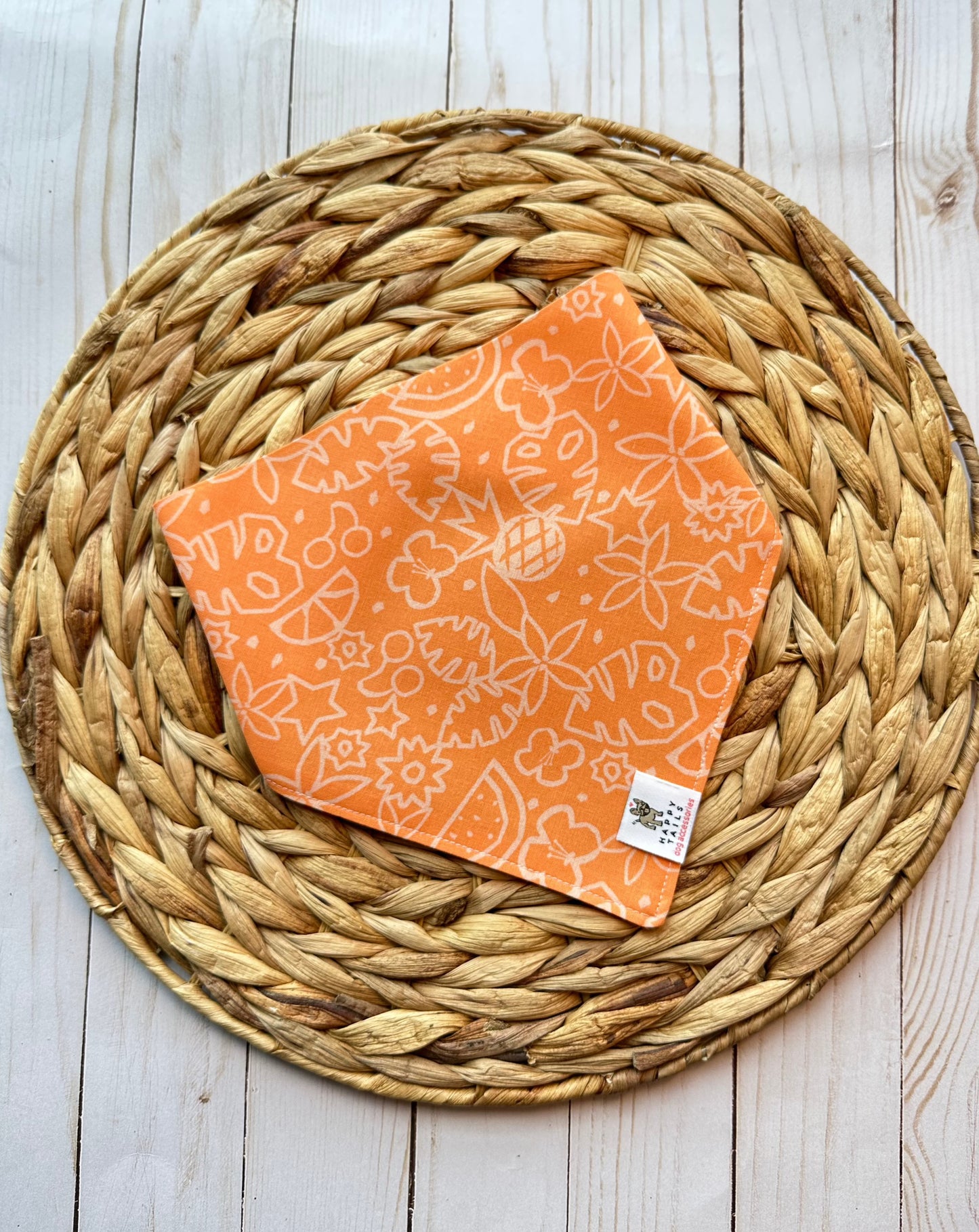 Dreamsicle Paradise Bandana