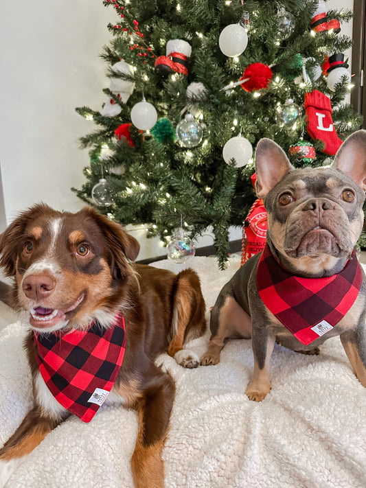Classic Plaid Christmas Bandana- Red and Black