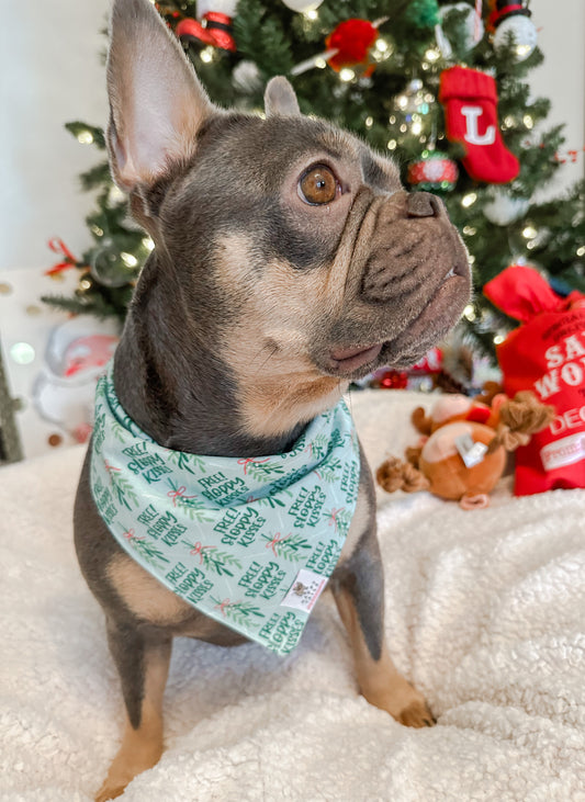 Sloppy Kisses Bandana