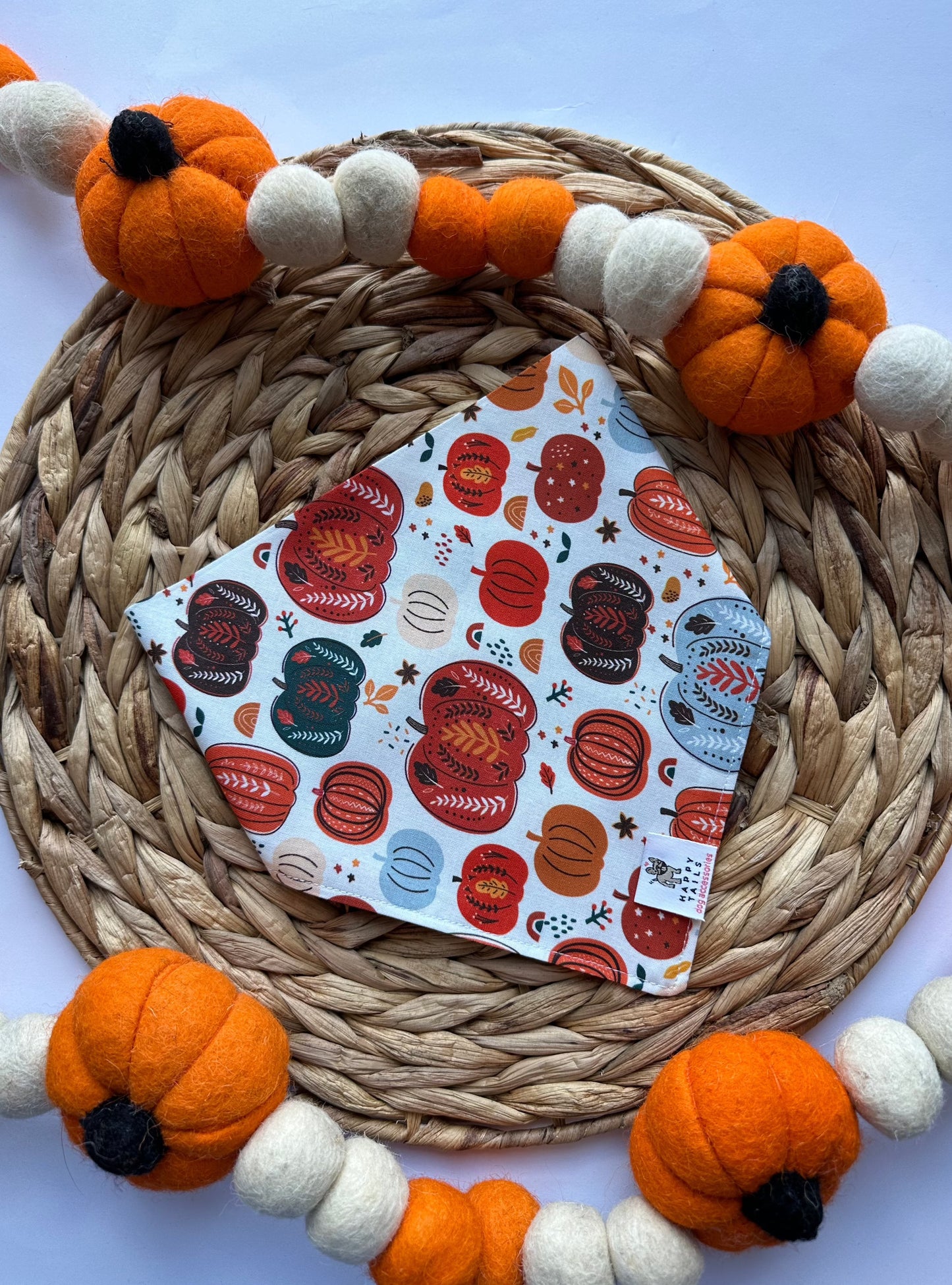 Pumpkin Patch Bandana