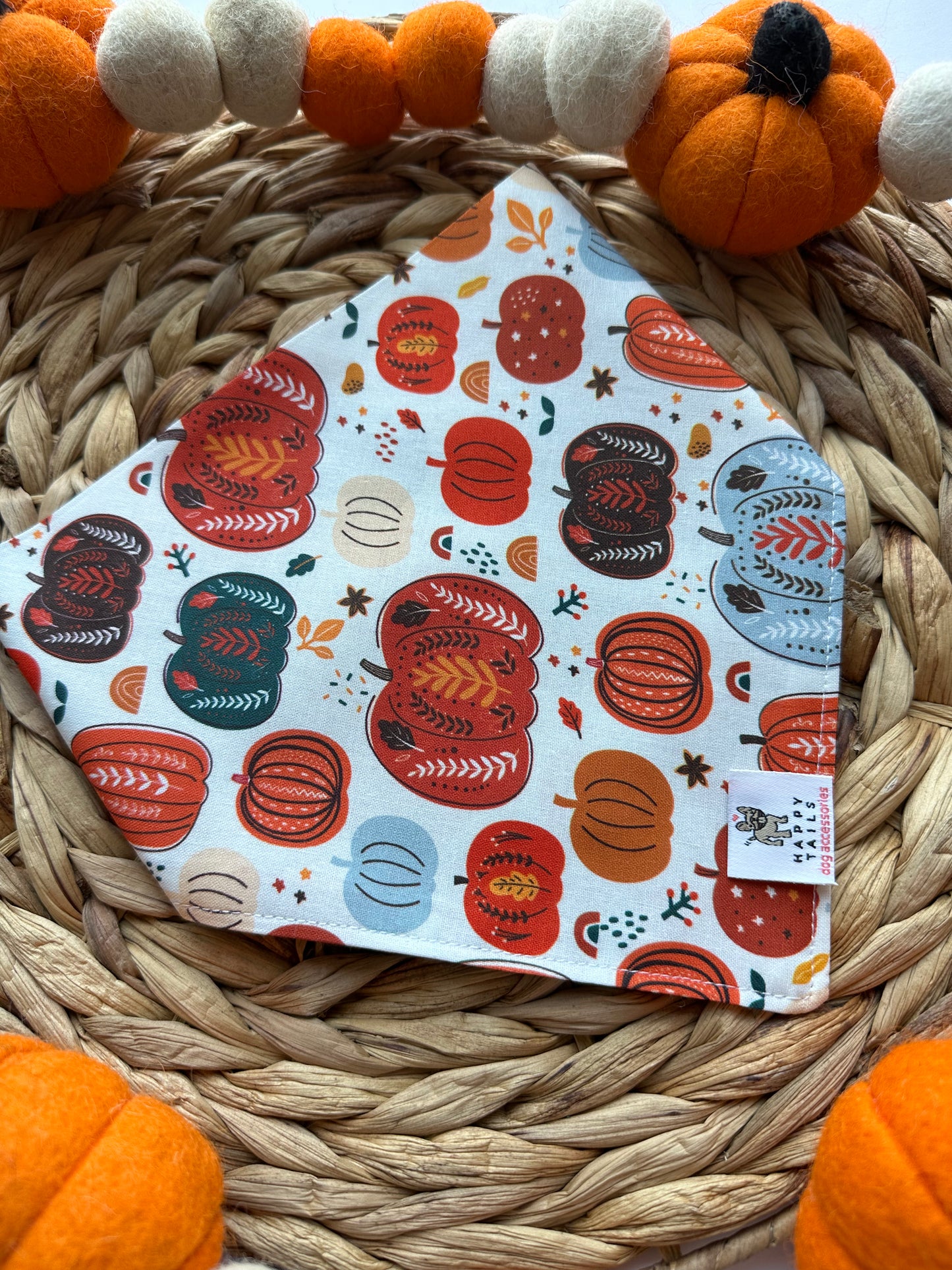 Pumpkin Patch Bandana