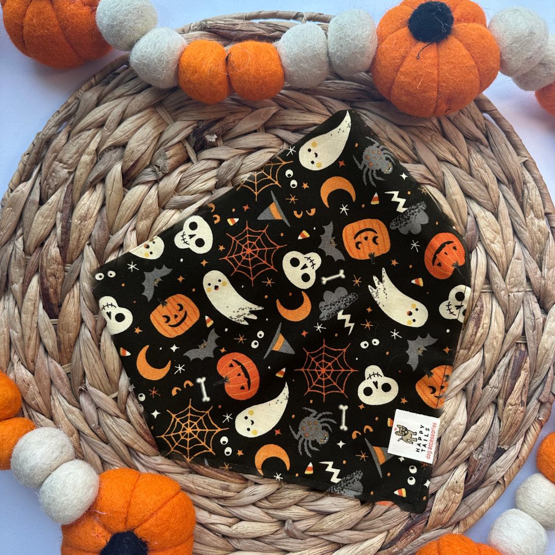 Cute but Spooky Bandana
