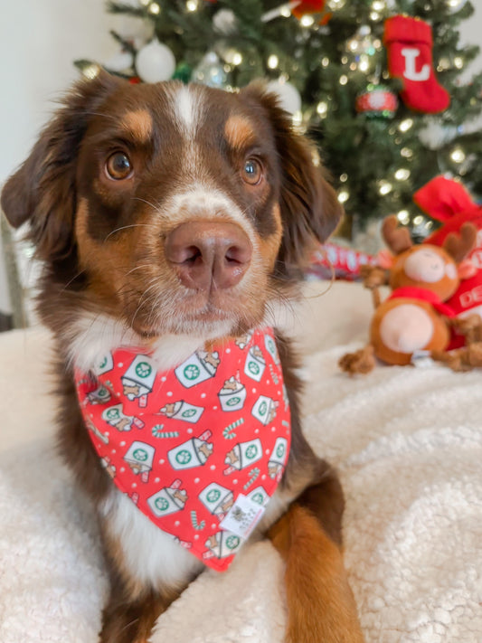 Peppermint Puppuccino Dog Bandana