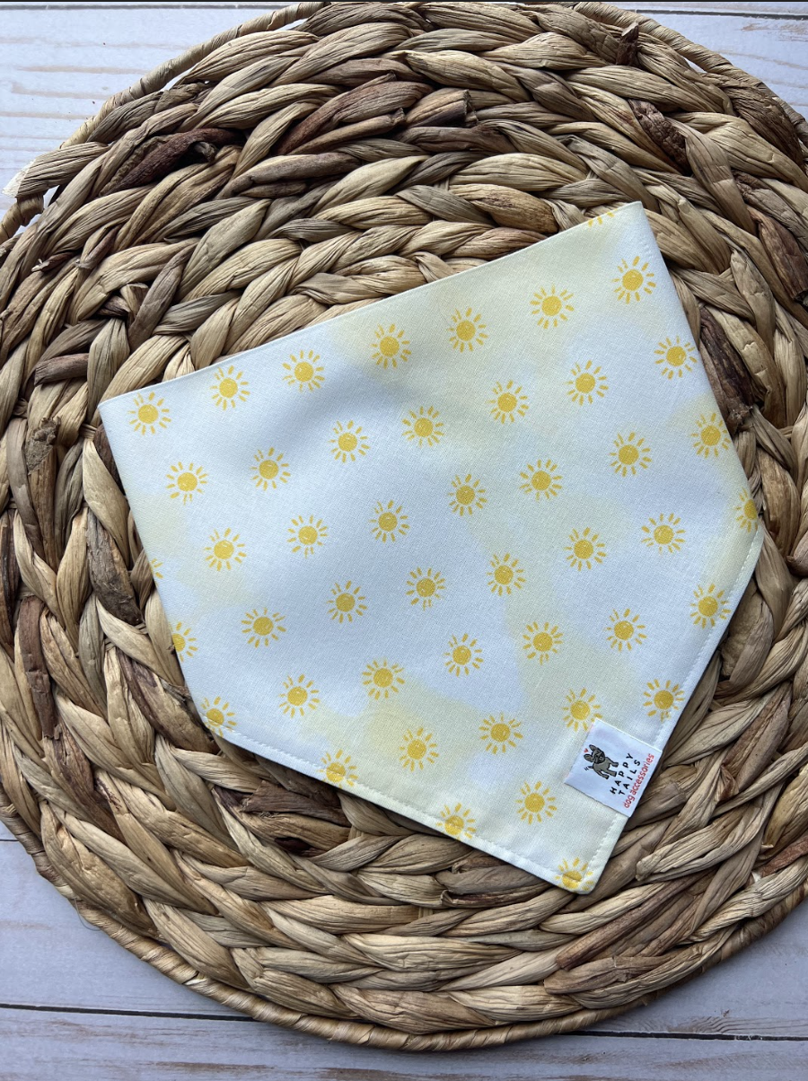 Fun in the Sun Bandana