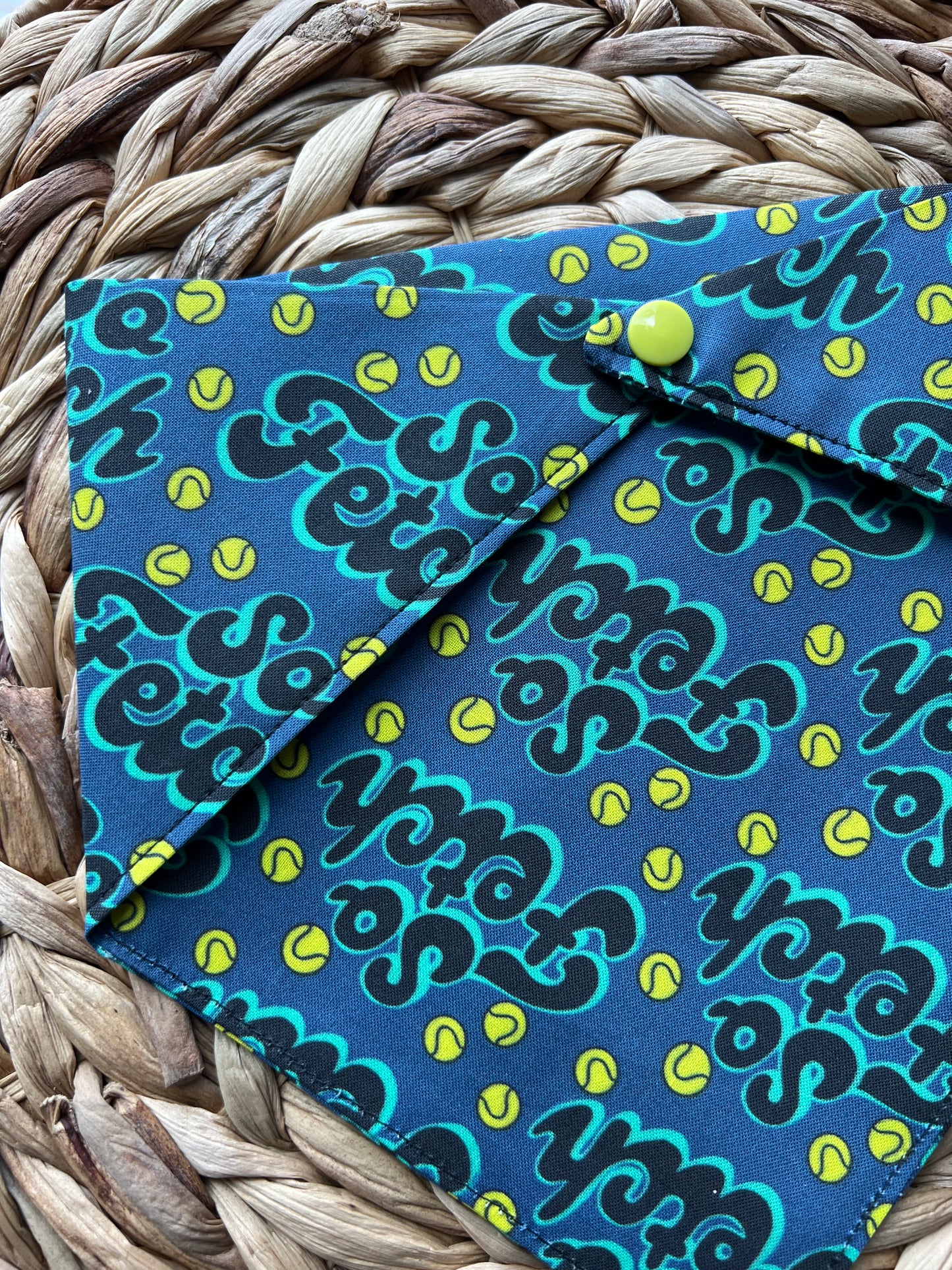 So Fetch Bandana