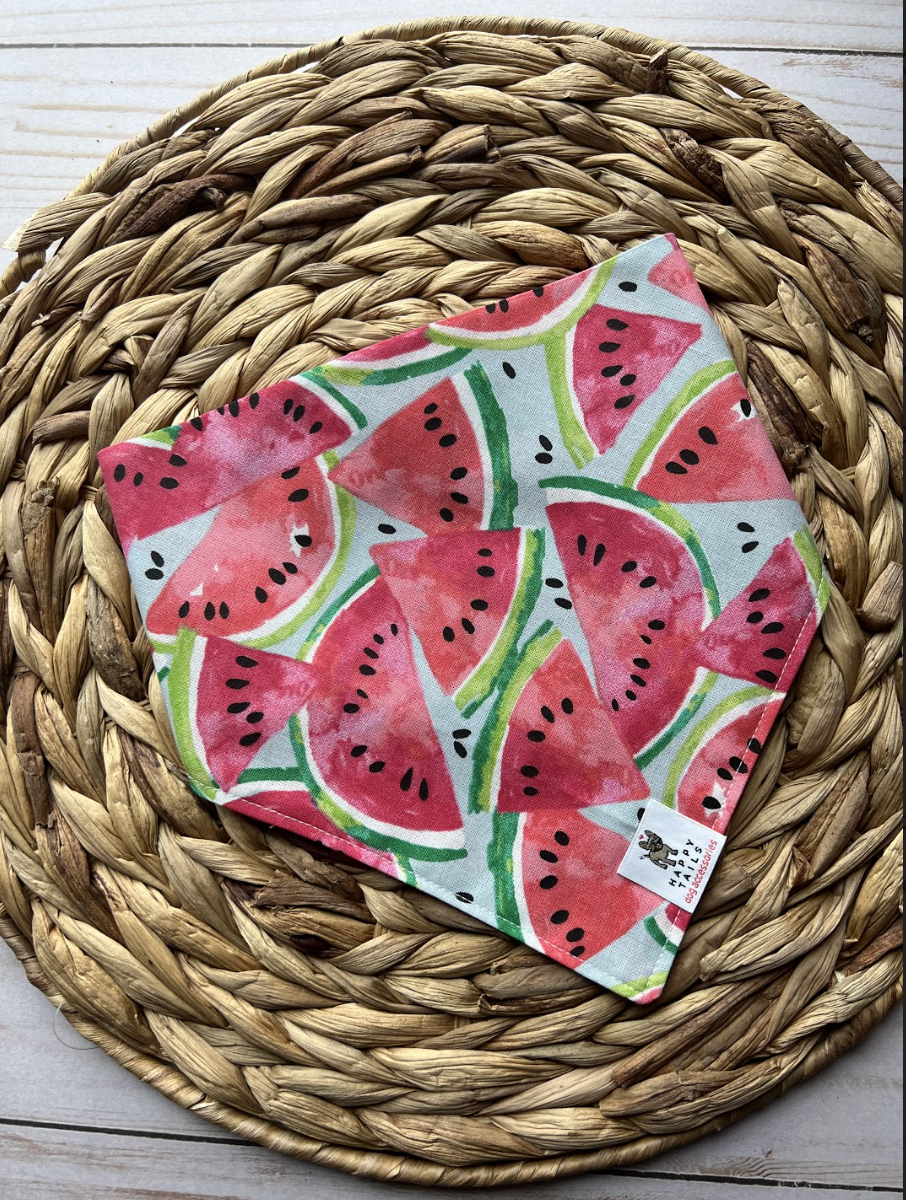 Watermelon Bandana