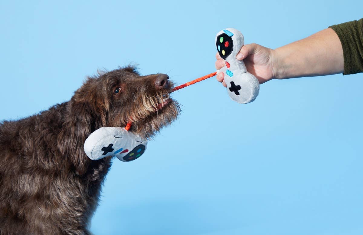 BARK Ate-Bit Controllers