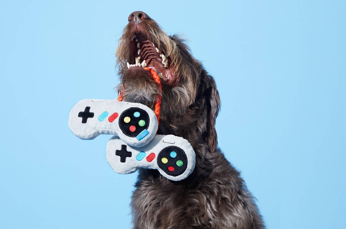 BARK Ate-Bit Controllers