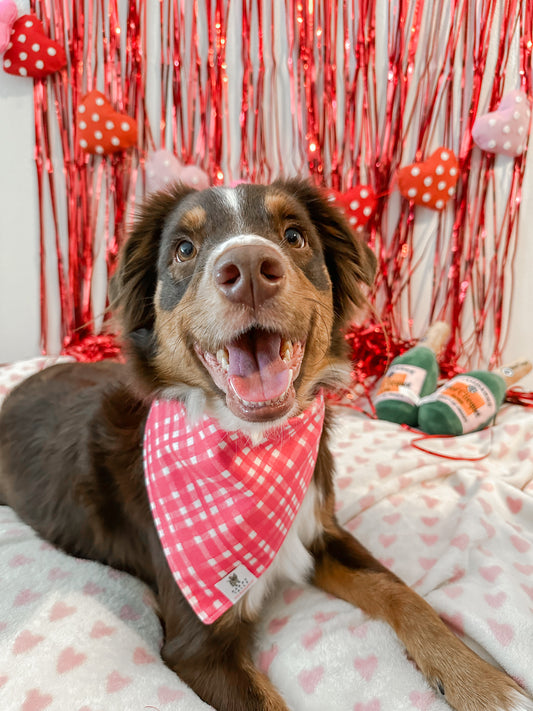 Pretty in Pink Bandana