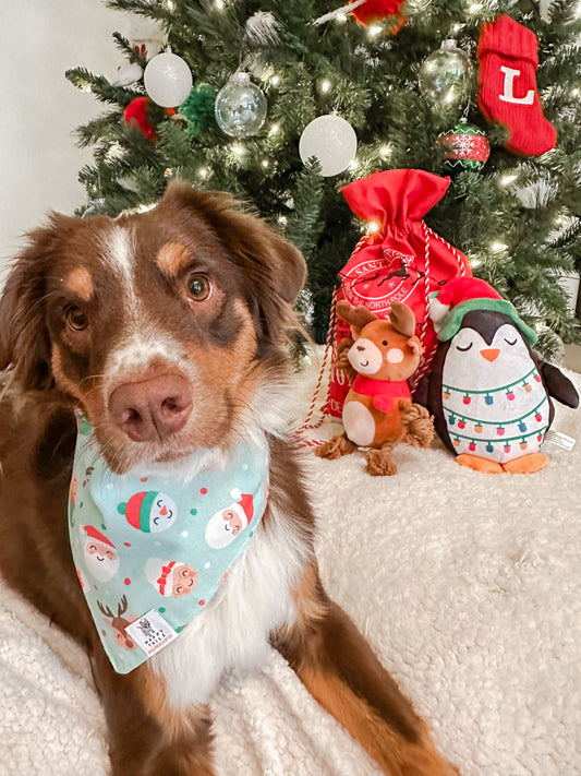 Santa and Friends Bandana