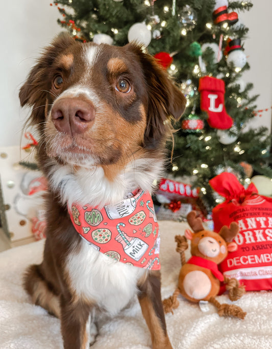 Milk and Cookies Holiday Dog Bandana