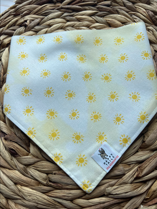 Fun in the Sun Bandana