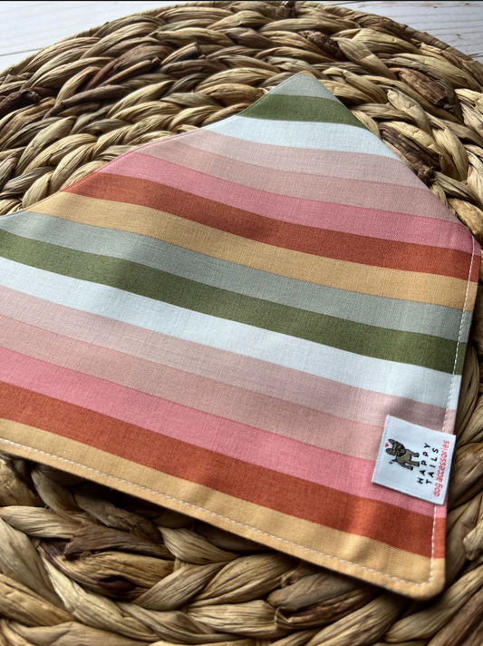 Spring Stripes Bandana