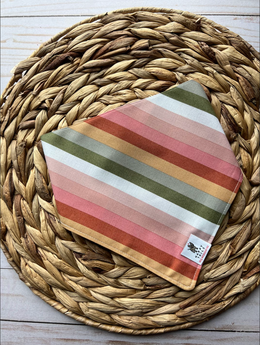 Spring Stripes Bandana