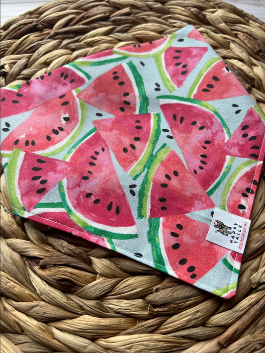 Watermelon Bandana